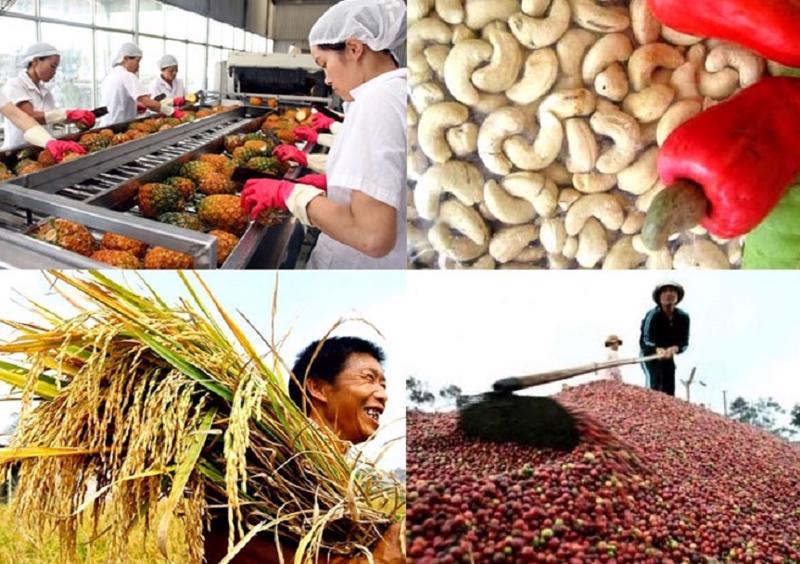 10 dấu ấn nổi bật trong phát triển kinh tế-xã hội năm 2023- Ảnh 8. 10 dấu ấn nổi bật trong phát triển kinh tế-xã hội năm 2023- Ảnh 8.
