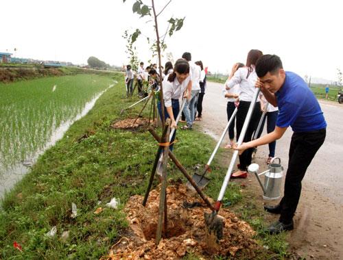 Tổ chức Tết trồng cây Tết Mậu Tuất 2018 đảm bảo thiết thực, hiệu quả           