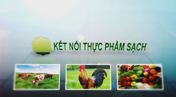 "Kết nối thực phẩm sạch" - kết nối những giá trị cuộc sống trên BTV