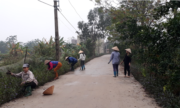 Toàn tỉnh trồng hơn 50.000 m “Đường hoa phụ nữ”