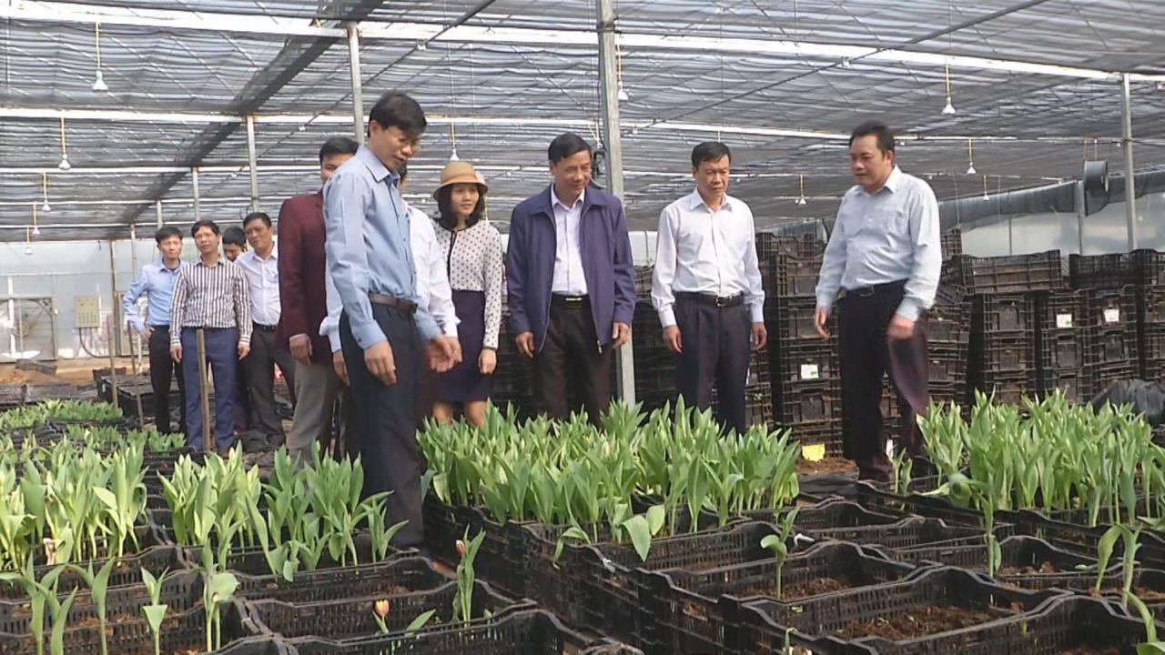 Đồng chí Nguyễn Hữu Quất thăm mô hình công nghệ cao tại xã Việt Đoàn