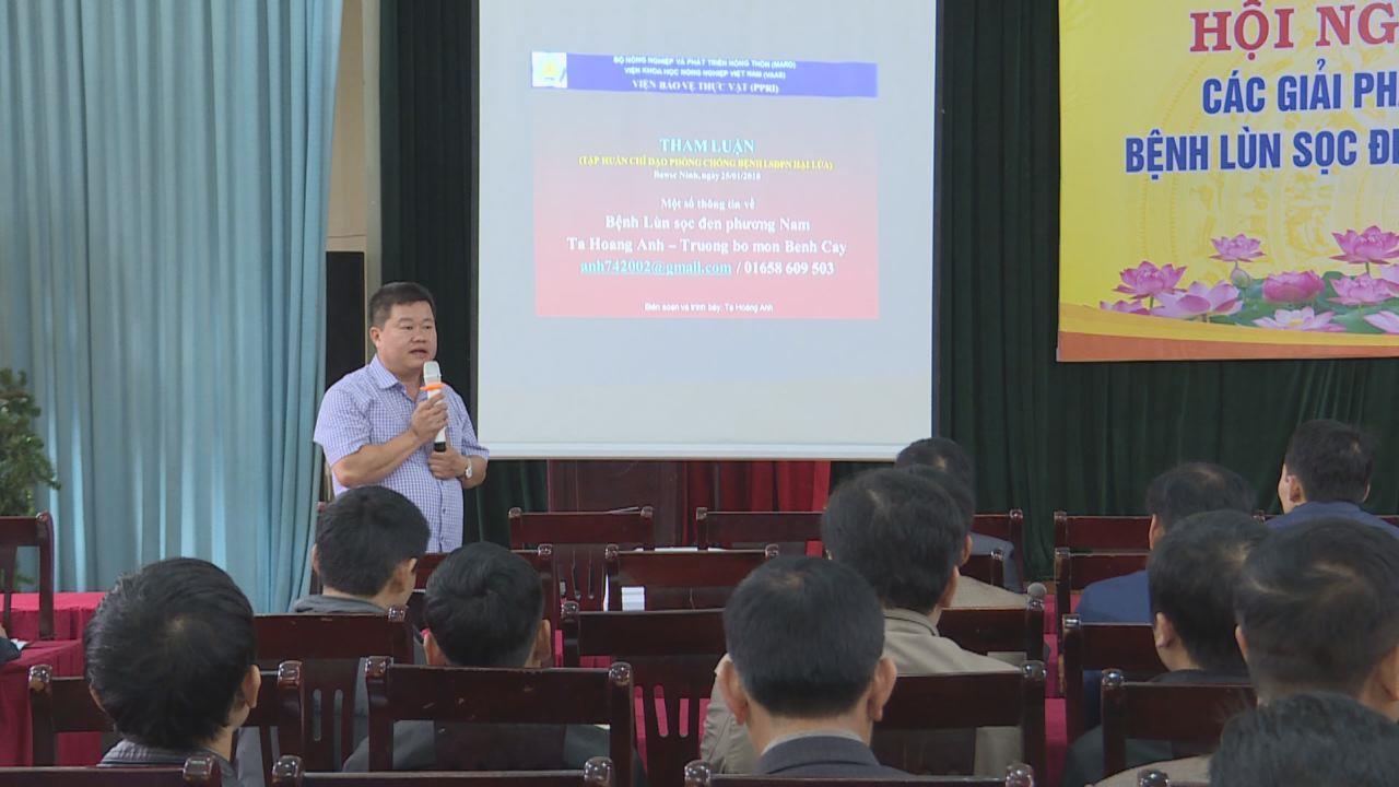 Chi cục Trồng trọt và Bảo vệ thực vật tập huấn biện pháp phòng, trừ bệnh lùn sọc đen phương Nam hại lúa