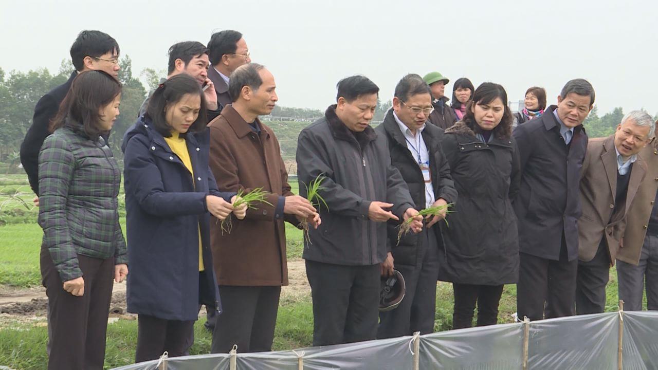 Bí thư Tỉnh ủy Nguyễn Nhân Chiến kiểm tra sản xuất