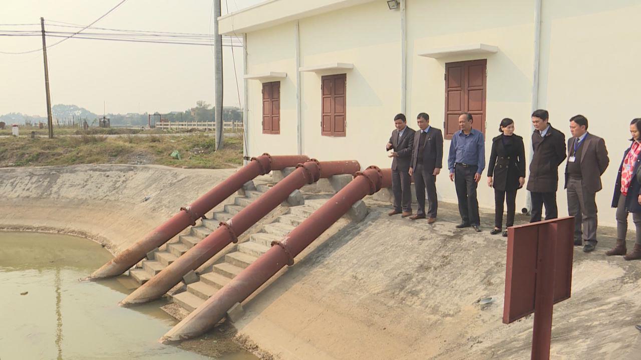 Phó Chủ tịch UBND tỉnh Nguyễn Văn Phong kiểm tra sản xuất nông nghiệp  và công tác chuẩn bị tết Nguyên đán tại Lương Tài