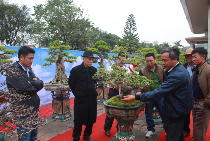 Ấn tượng từ Hội chợ triển lãm Sinh vật cảnh Bắc Ninh năm 2018