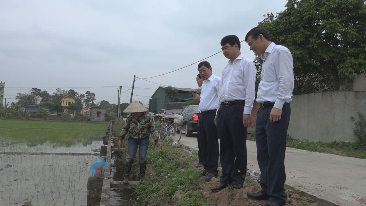 Phó Chủ tịch Thường trực UBND tỉnh Nguyễn Tiến Nhường   kiểm tra sản xuất tại huyện Gia Bình