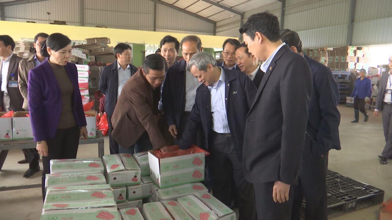 Chủ tịch UBND tỉnh Nguyễn Tử Quỳnh thăm một số mô hình sản xuất rau cao cấp và chế biến thực phẩm sạch tại huyện Lương Tài