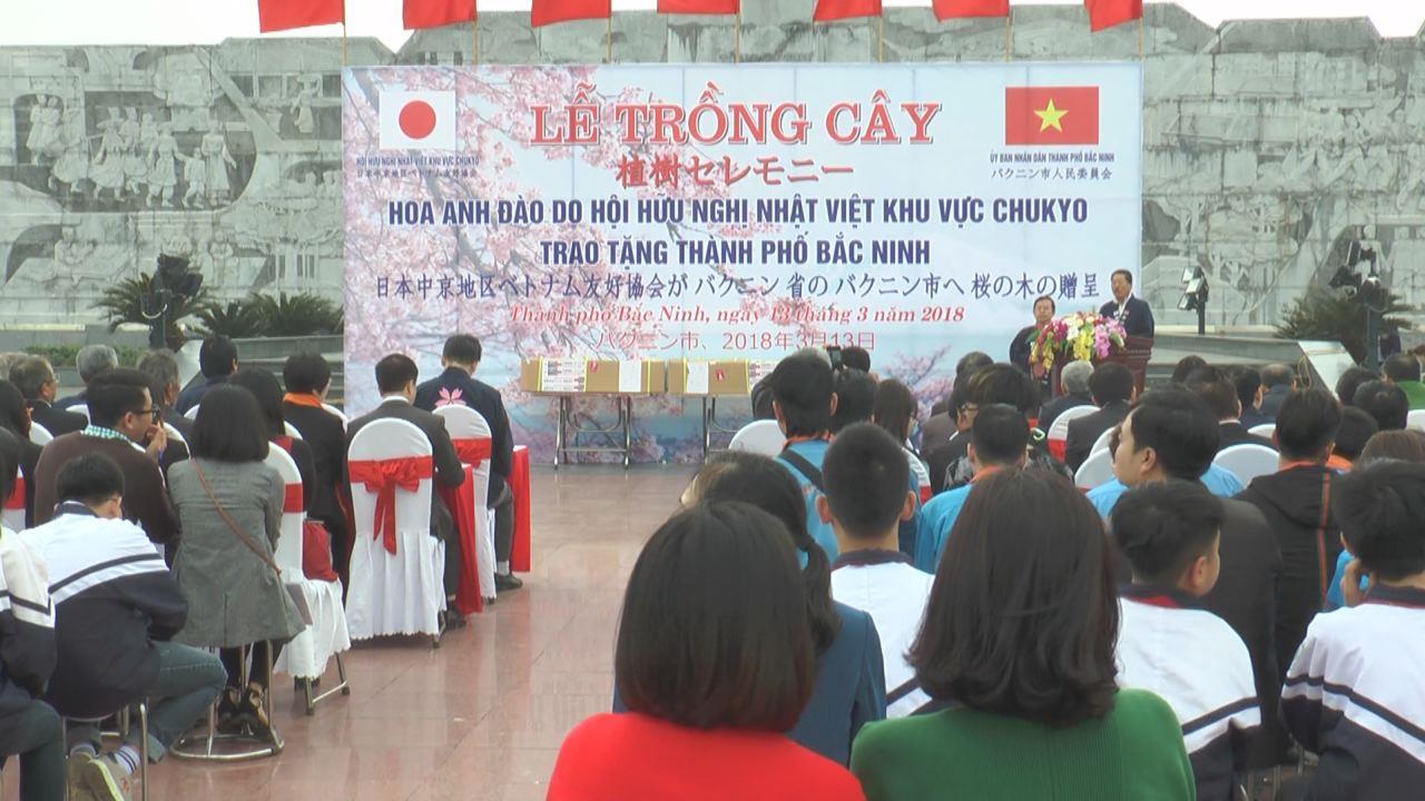 Lễ trồng cây hoa Anh đào do Hội hữu nghị Nhật – Việt vùng Chukyo trao tặng thành phố Bắc Ninh