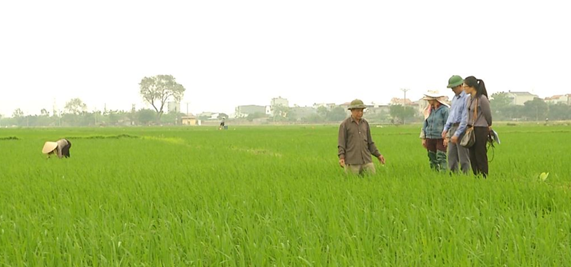 Đồng hành cùng nông dân: Chuyên mục của nhà nông trên sóng BTV