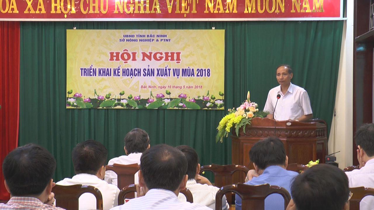 Sở Nông nghiệp và Phát triển nông thôn triển khai sản xuất vụ mùa năm 2018