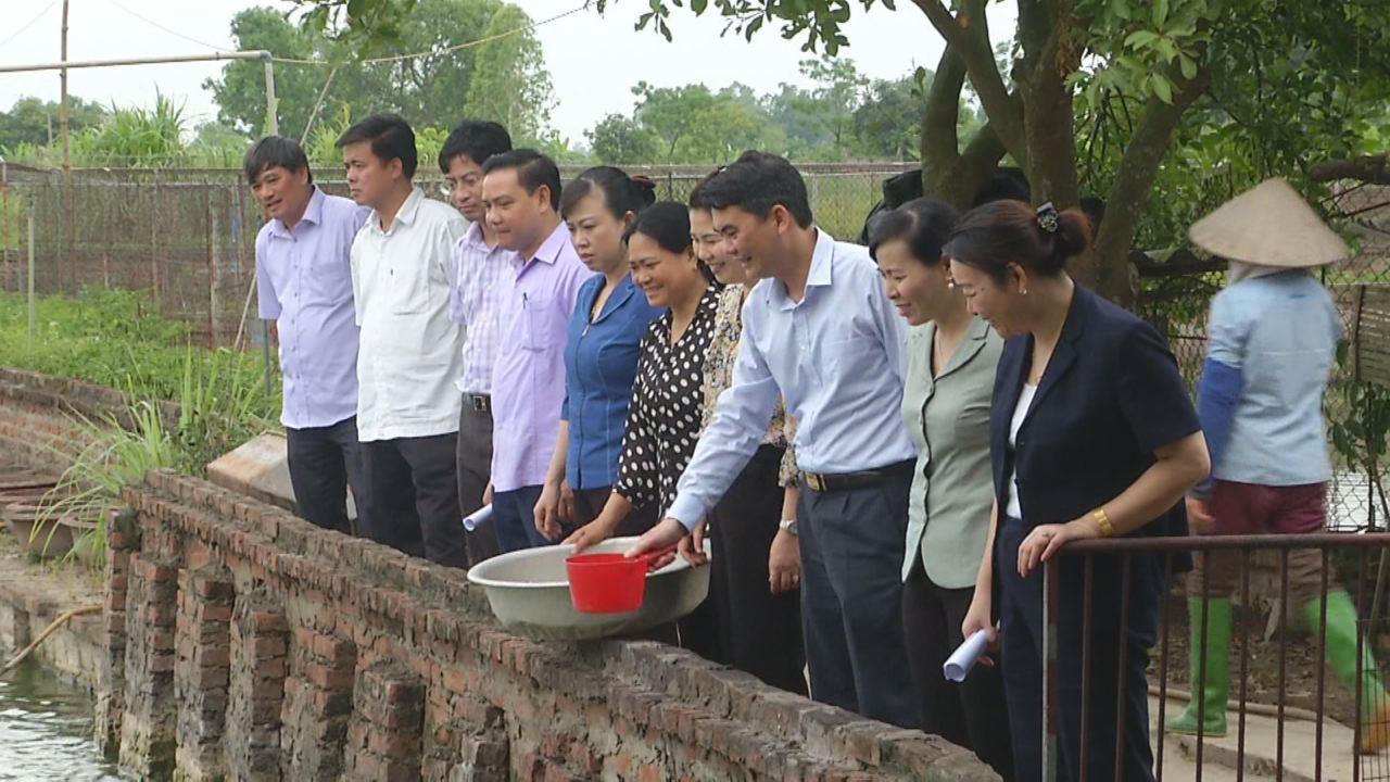 Hội Liên hiệp Phụ nữ tỉnh thăm quan mô hình phụ nữ  tham gia xây dựng nông thôn mới tại huyện Lương Tài
