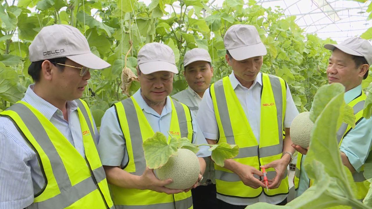 Chủ tịch UBND tỉnh thăm trang trại thông minh tại Thuận Thành