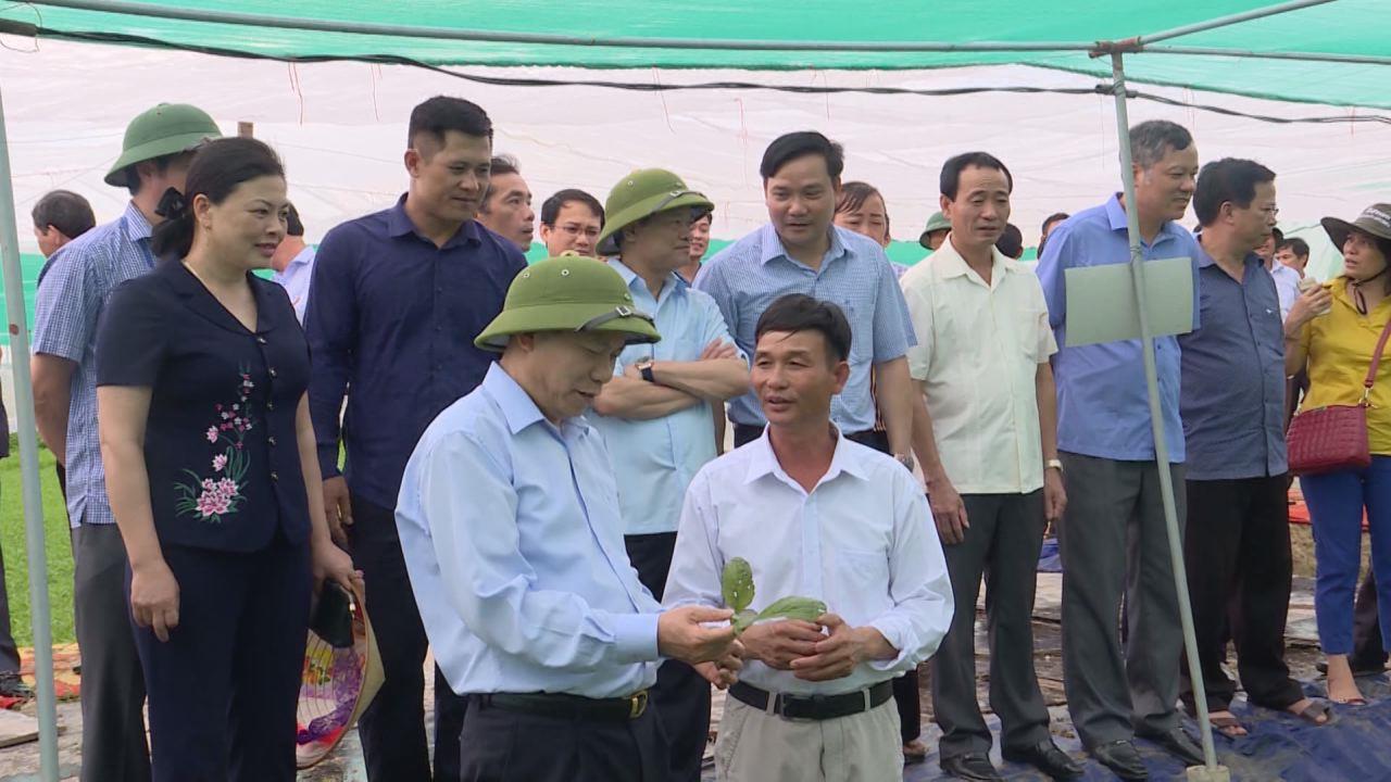 Lãnh đạo tỉnh thăm mô hình nông dân sản xuất kinh doanh giỏi