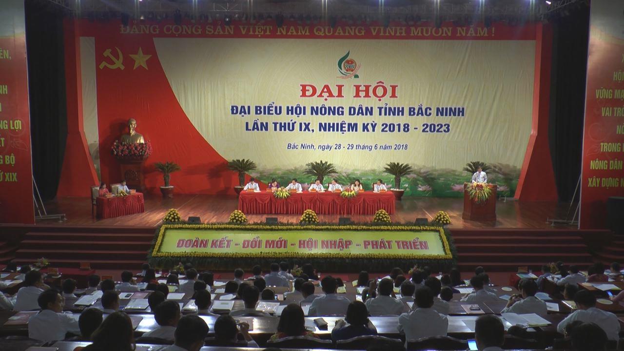 Ngày làm việc thứ nhất Đại hội đại biểu Hội Nông dân tỉnh Bắc Ninh lần thứ IX
