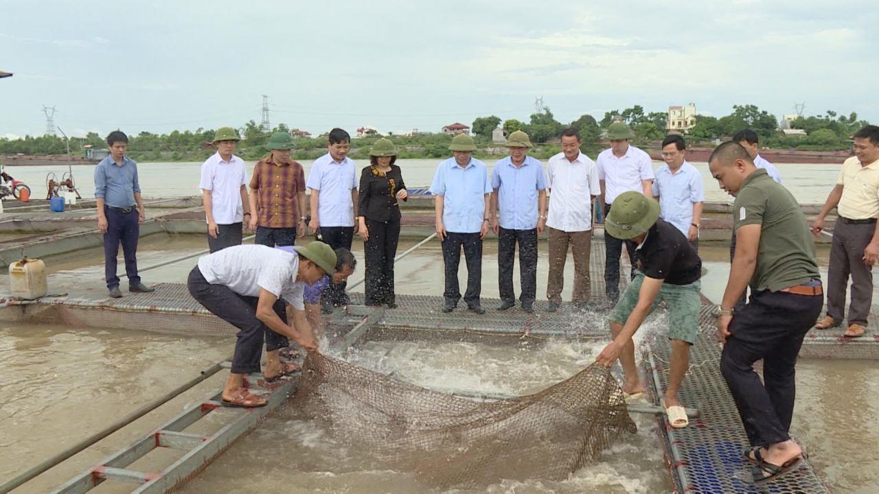 Bí thư Tỉnh ủy thăm một số mô hình Hợp tác xã tiêu biểu