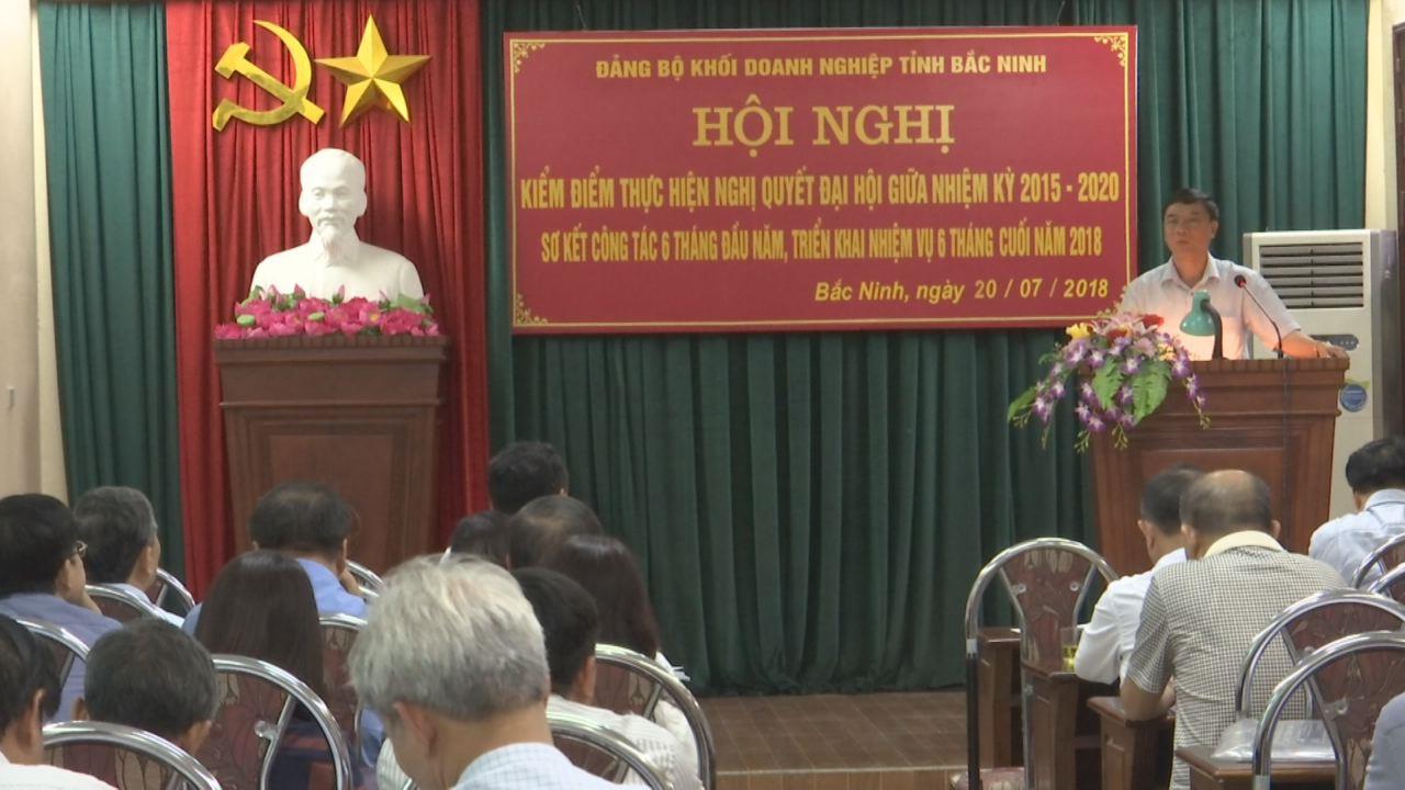 Đảng bộ Khối doanh nghiệp tỉnh kiểm điểm giữa nhiệm kỳ  và triển khai nhiệm vụ 6 tháng cuối năm