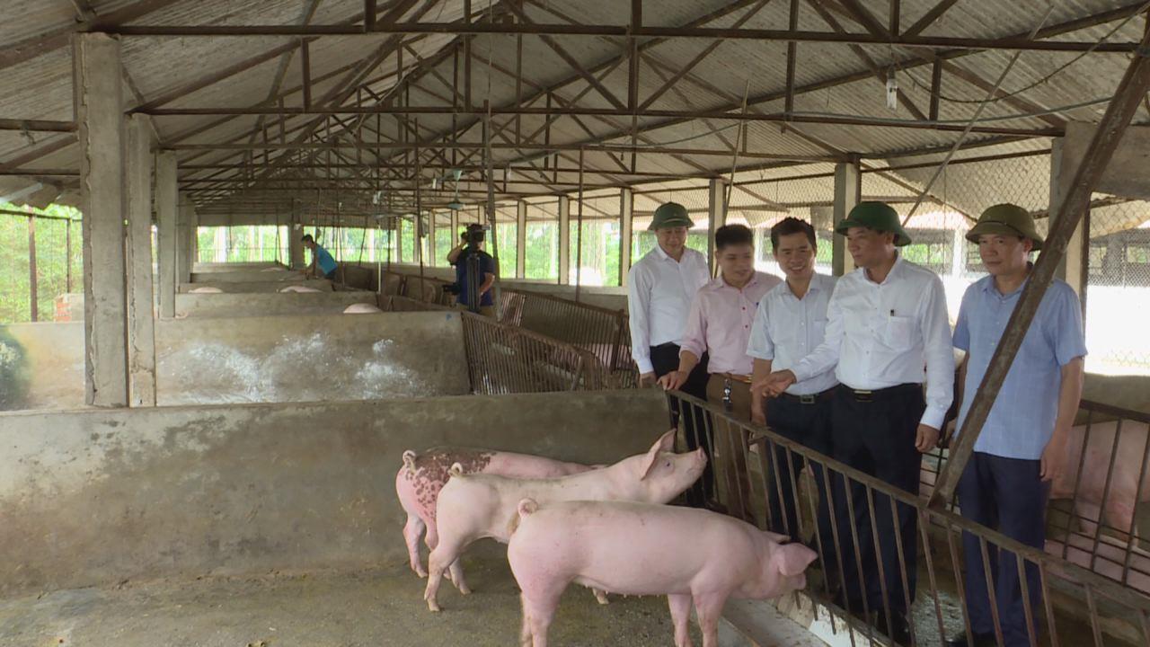 Phó Bí thư Thường trực Tỉnh ủy Nguyễn Hữu Quất  thăm các mô hình HTX Dịch vụ nông nghiệp