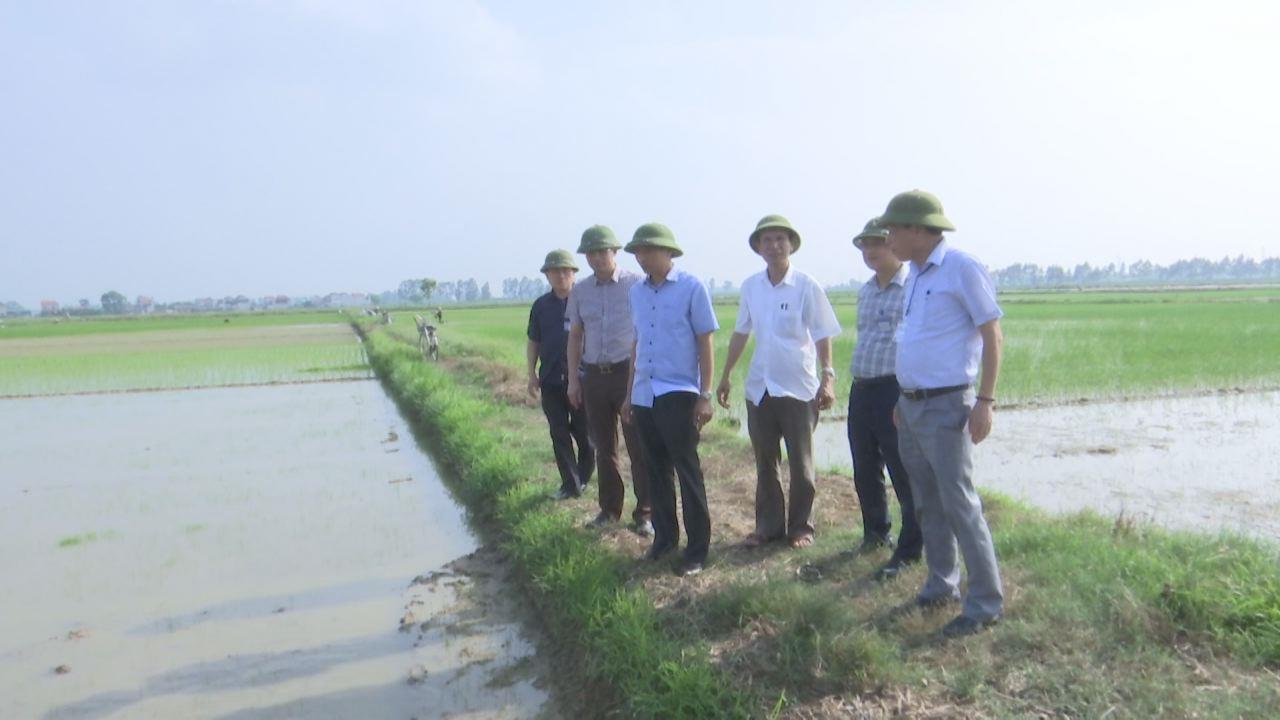 Phó Chủ tịch UBND tỉnh Nguyễn Hữu Thành  kiểm tra công tác tiêu úng khu vực Nam Đuống