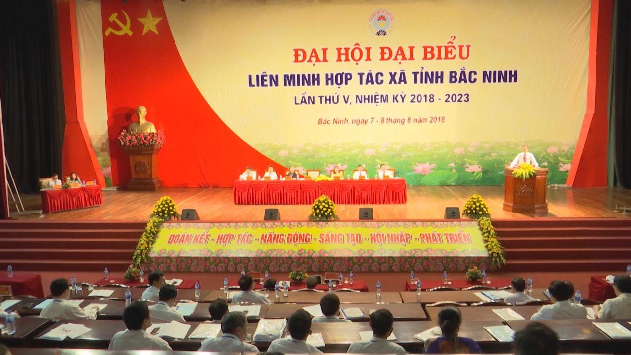 Phiên thứ nhất Đại hội đại biểu Liên minh HTX tỉnh Bắc Ninh lần thứ V, nhiệm kỳ 2018 – 2023