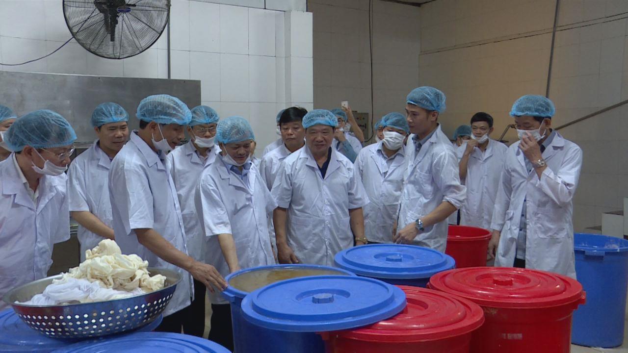 Chủ tịch UBND tỉnh thăm một số mô hình sản xuất tại Thuận Thành, Gia Bình