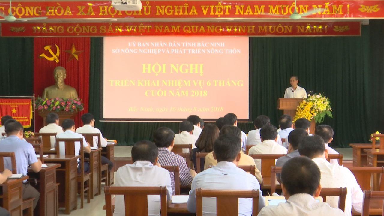 Sở Nông nghiệp & Phát triển nông thôn triển khai nhiệm vụ 6 tháng cuối năm