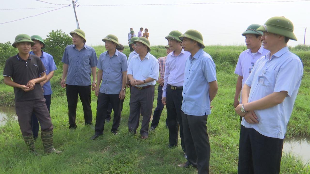 Phó Chủ tịch UBND tỉnh kiểm tra sản xuất nông nghiệp tại Lương Tài
