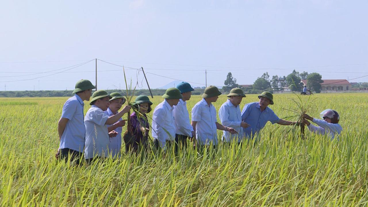 Bí thư Tỉnh ủy kiểm tra sản xuất nông nghiệp và xây dựng nông thôn mới tại Quế Võ