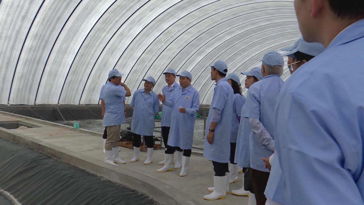 Lãnh đạo tỉnh thăm Nhà máy điện gió  và khu nuôi tôm công nghệ cao tại Bạc Liêu
