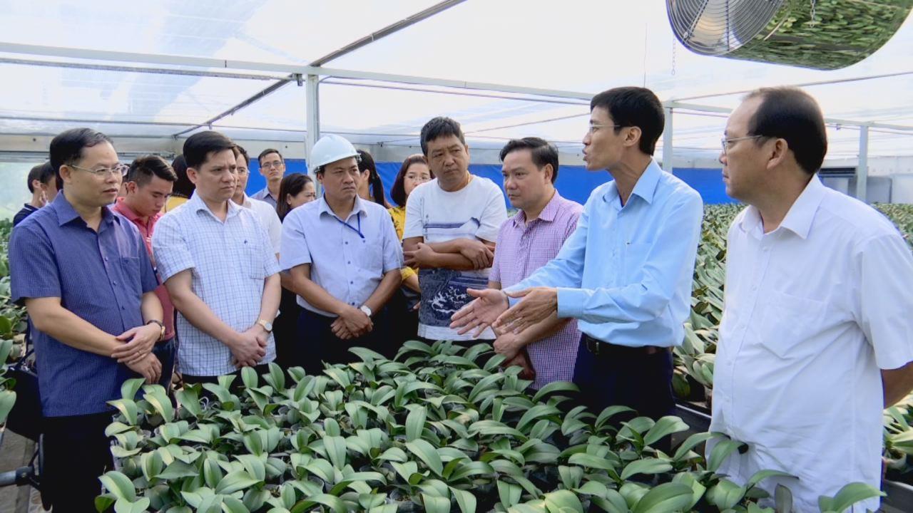 Cụm thi đua số 03 Hội Nông dân Việt Nam thăm quan Khu thực nghiệm  sản xuất nông nghiệp công nghệ cao tỉnh Bắc Ninh