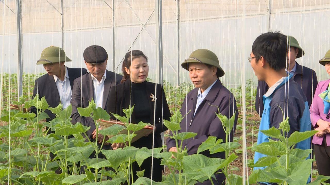 Bí thư Tỉnh ủy thăm một số mô hình nông nghiệp và làng nghề