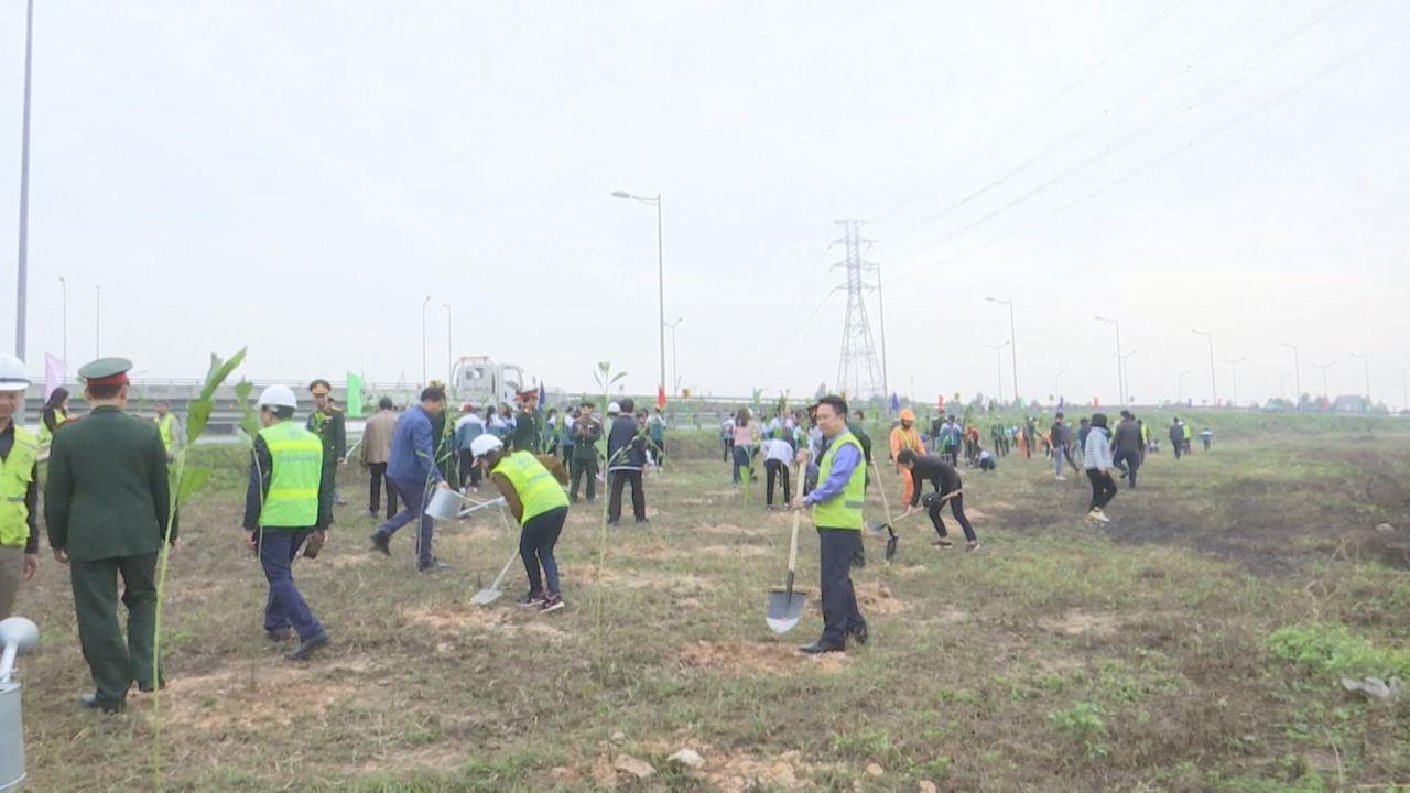 Tổng cục Đường bộ Việt Nam tổ chức Tết trồng cây