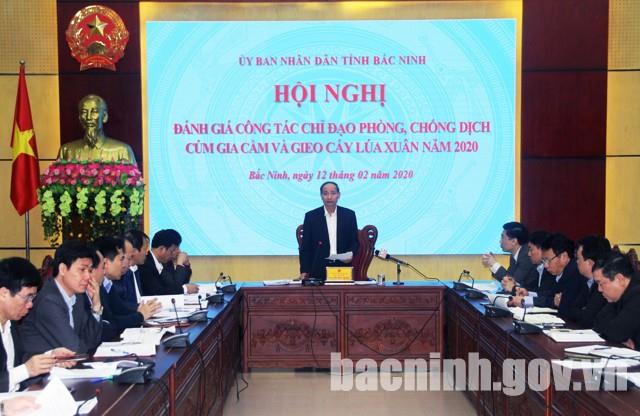 UBND tỉnh đánh giá công tác chỉ đạo phòng, chống dịch cúm gia cầm  và gieo cấy lúa xuân năm 2020