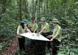Bắc Ninh: Duy trì ổn định diện tích hơn 472 ha rừng phòng hộ.