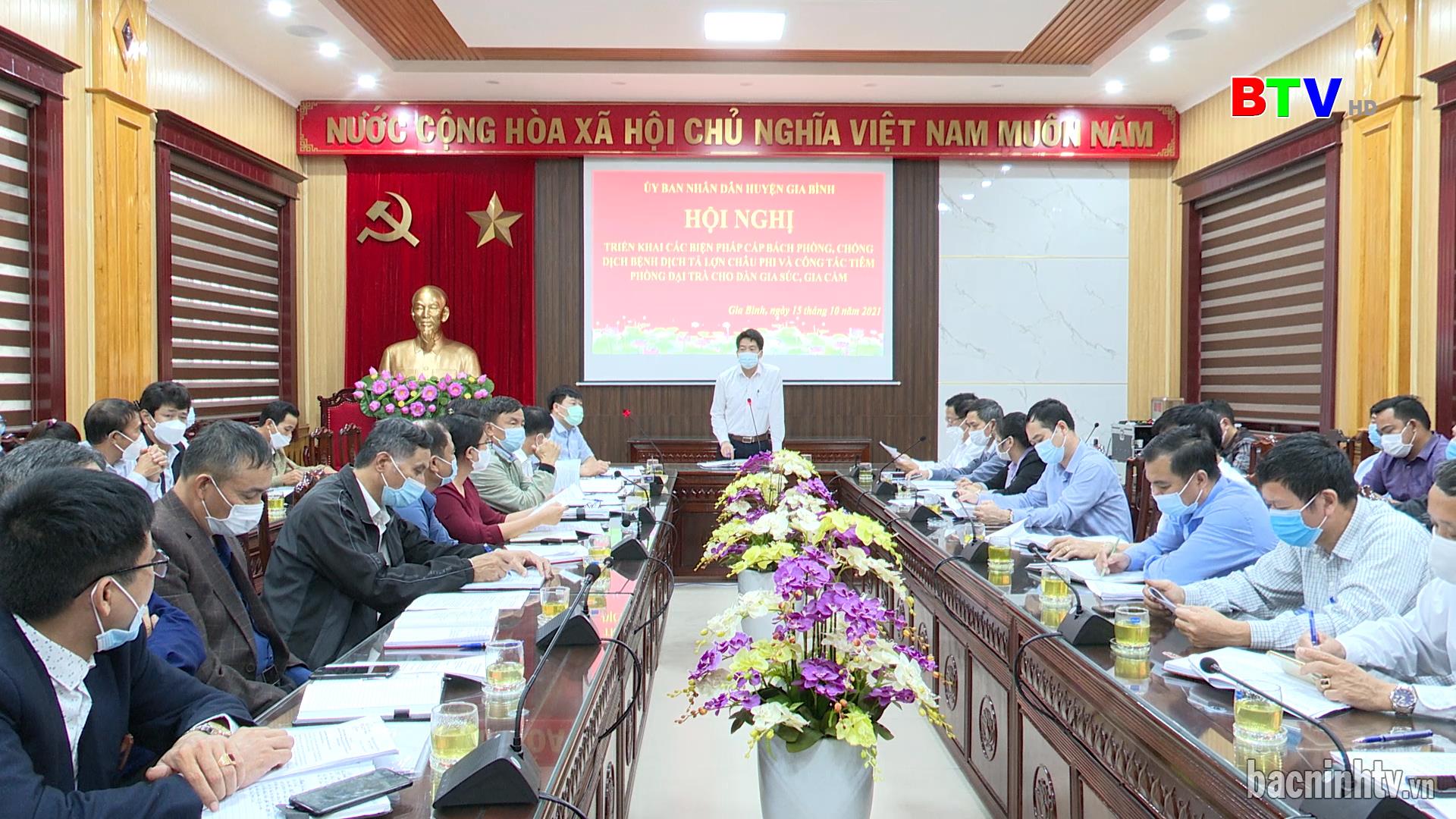 Gia Bình triển khai biện pháp cấp bách phòng chống dịch tả lợn Châu Phi