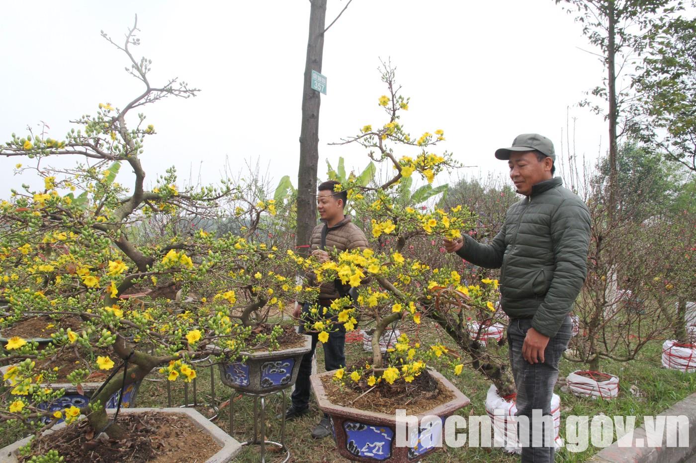 Ban Thường vụ Tỉnh ủy chỉ thị tổ chức Tết Quý Mão năm 2023