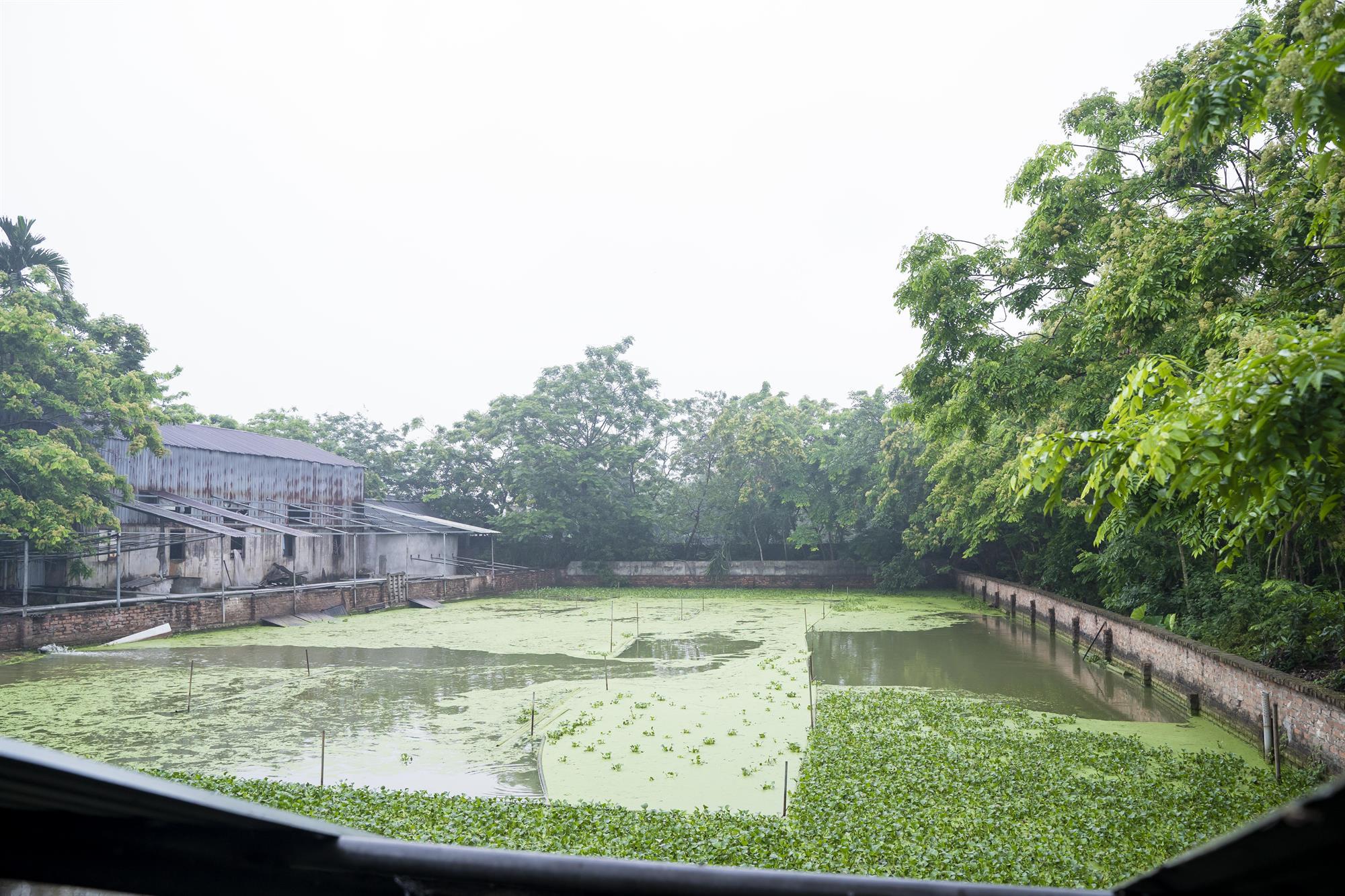 Phụ nữ Tiên Du chung tay xây dựng quê hương