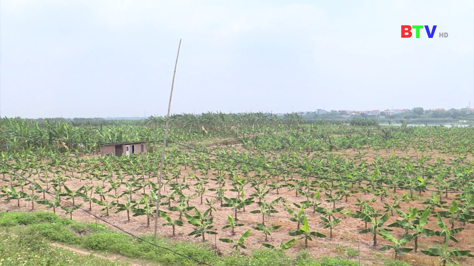 Hộp thư Truyền hình tháng 6 năm 2023
