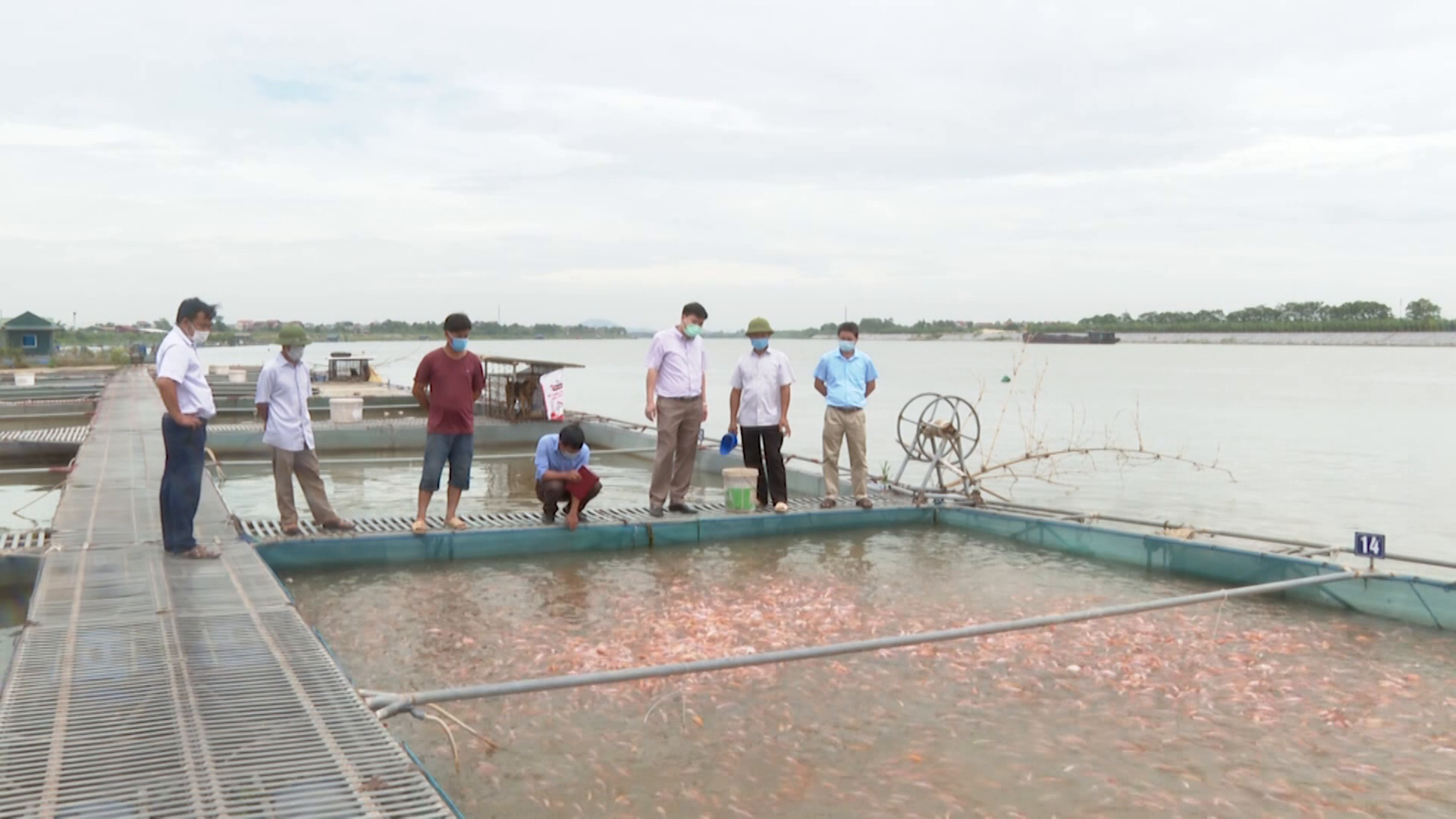 Chủ tịch UBND tỉnh chỉ đạo tăng cường quản lý, đảm bảo ATTP  trong sản xuất, kinh doanh thuỷ sản