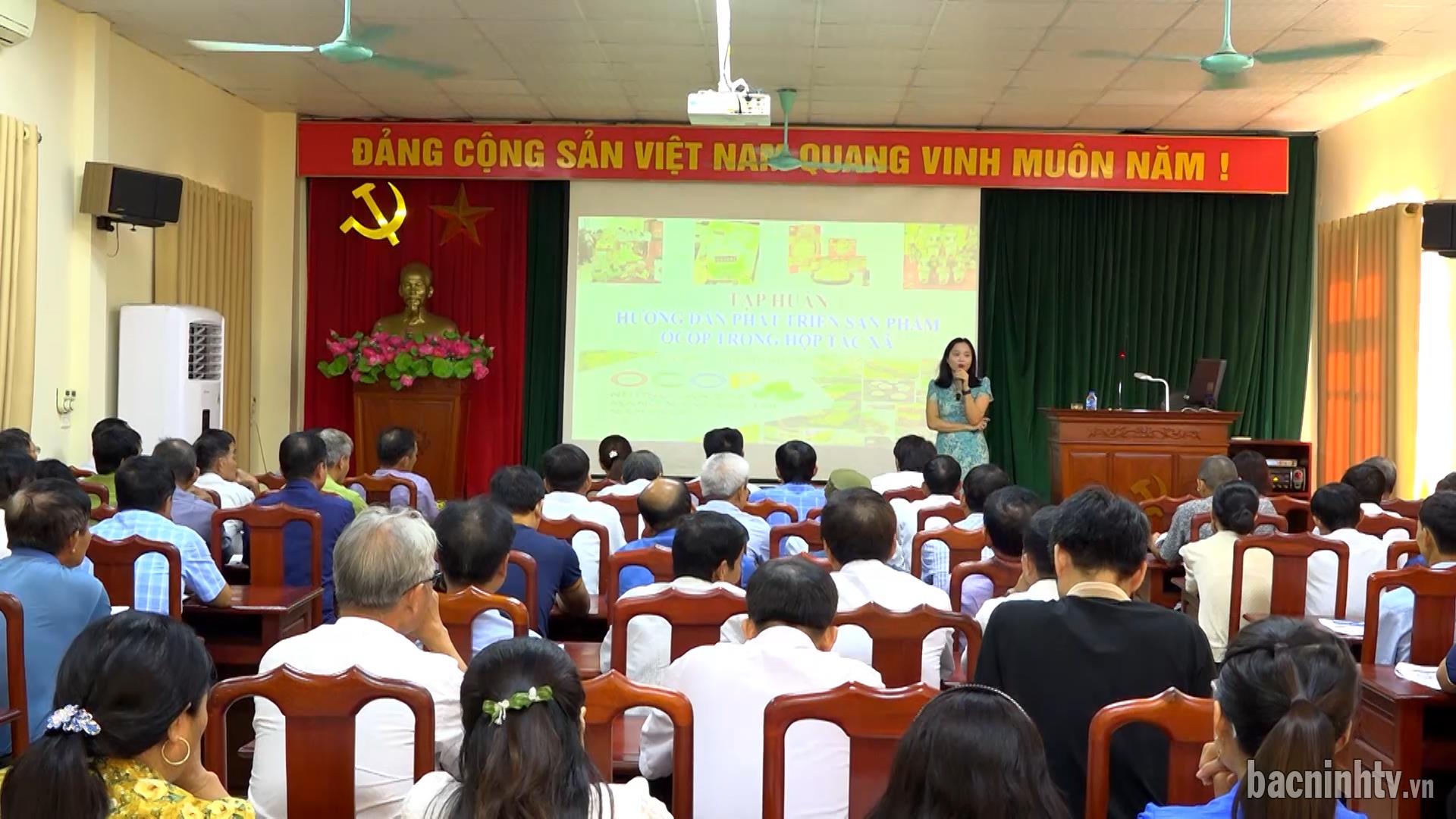 Liên minh HTX tỉnh tập huấn phát triển sản phẩm OCOP tại Lương Tài