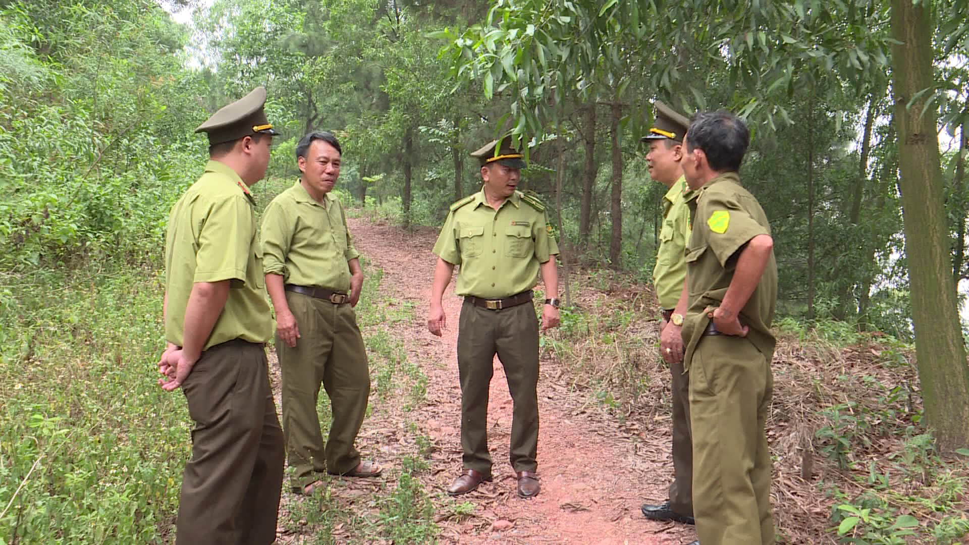 Tăng cường quản lý phát triển và bảo vệ rừng