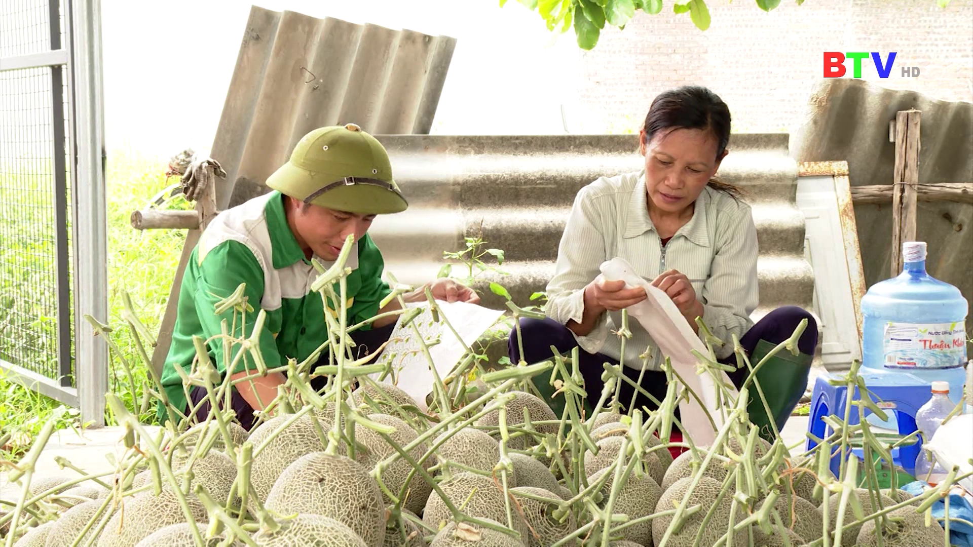 Xây dựng thương hiệu nông sản gắn với công tác chuyển đổi số