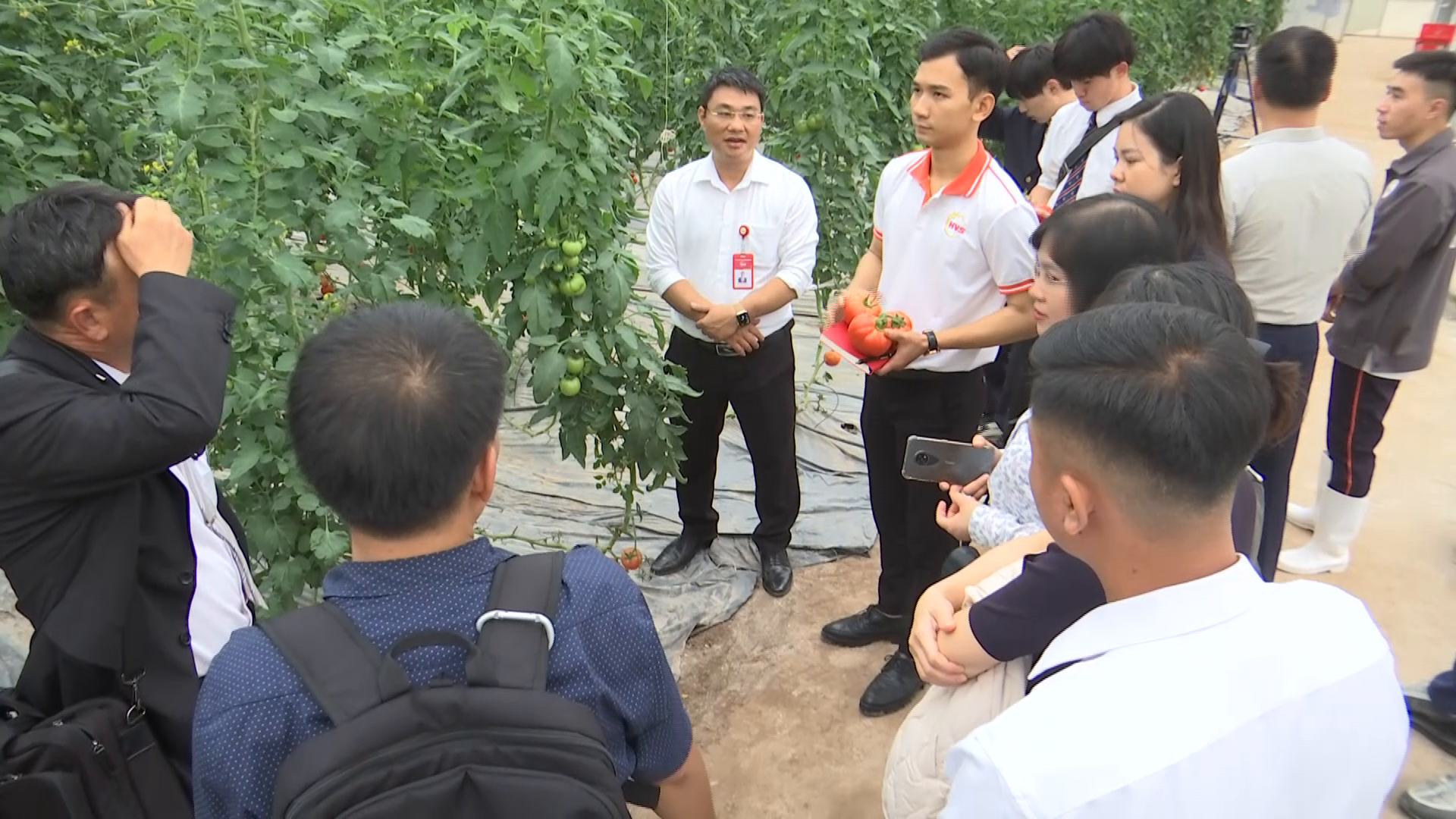 Ban Quản lý ATTP giám sát, xác nhận 30 chuỗi cung ứng thực phẩm an toàn