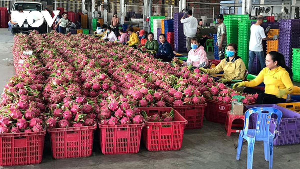 Xuất khẩu năm 2024 kỳ vọng khởi sắc từ những tín hiệu tích cực
