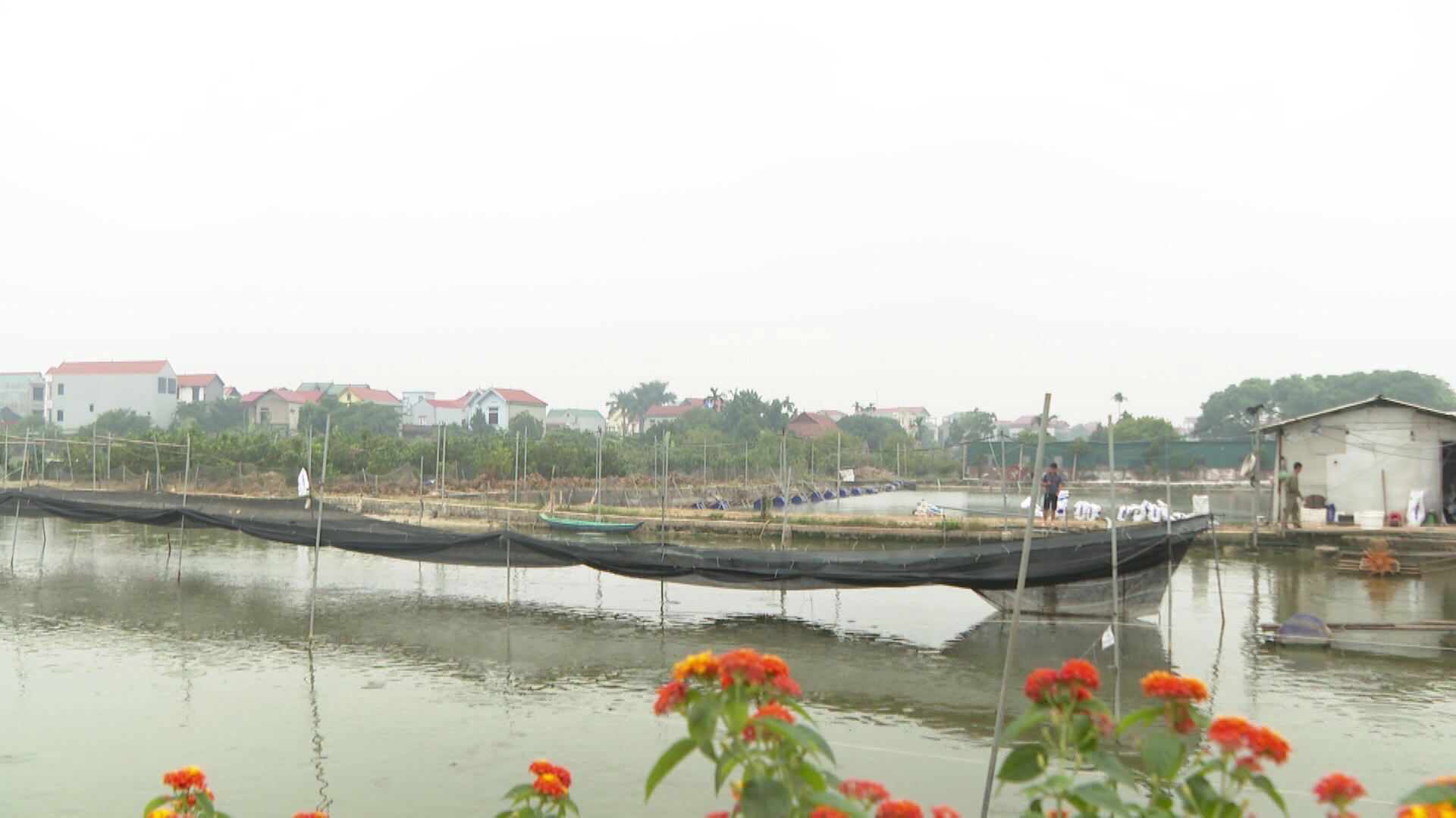 Đến năm 2025 toàn tỉnh có thêm 45-50 trang trại ứng dụng công nghệ cao