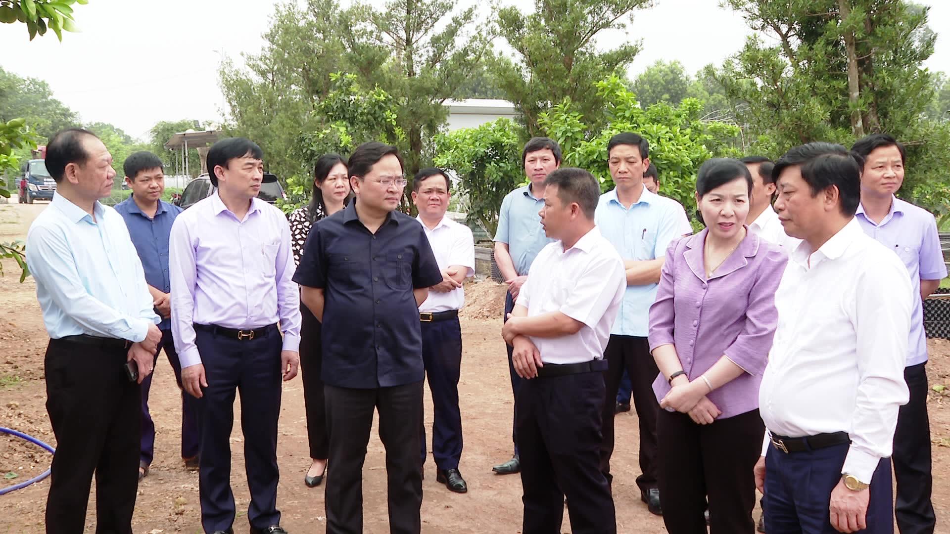 Bí thư Tỉnh ủy thăm phong trào hiến đất mở đường và chuyển đổi cây trồng ở Gia Bình
