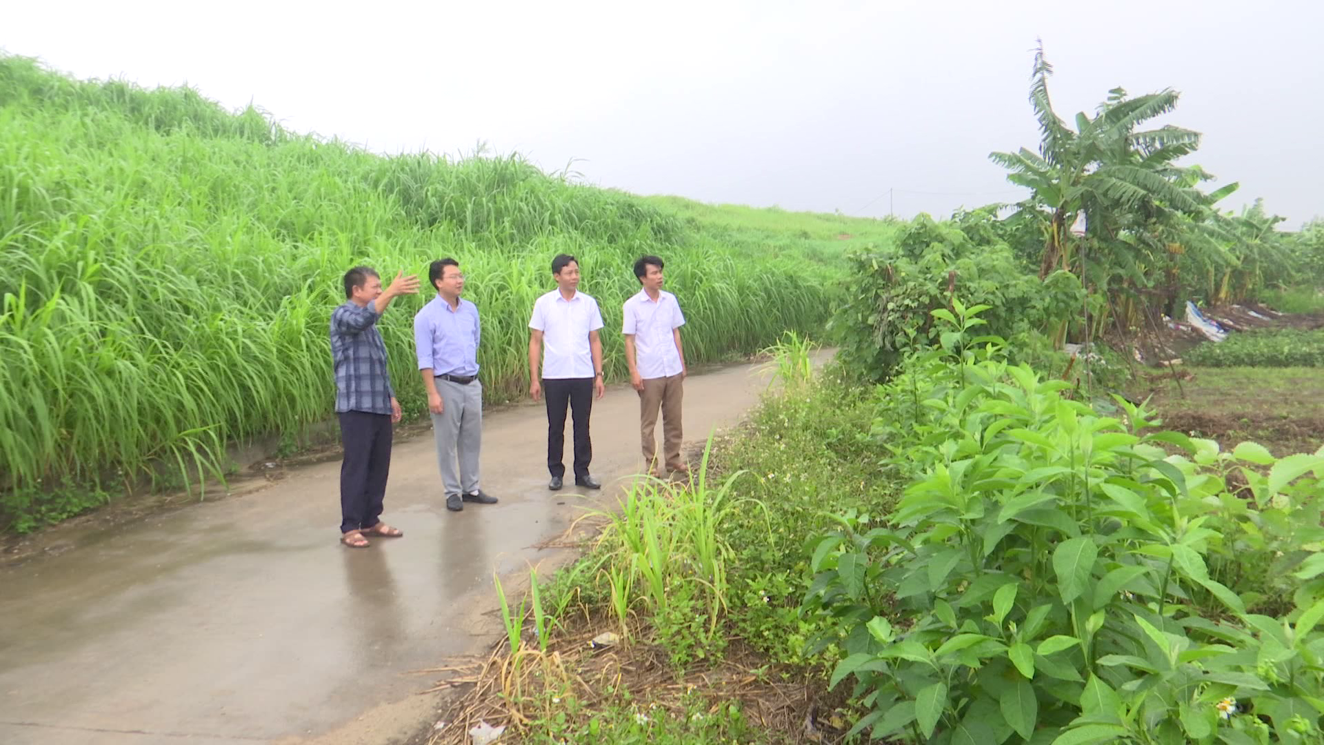 Thị xã Thuận Thành chủ động phòng chống thiên tai