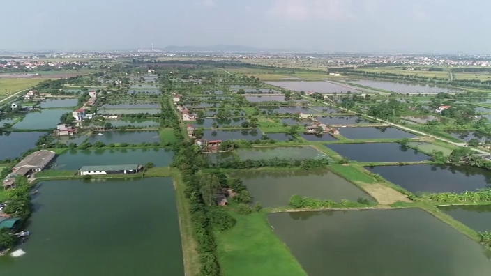 Xây dựng 3 vùng phát triển nông, lâm nghiệp, thủy sản tập trung