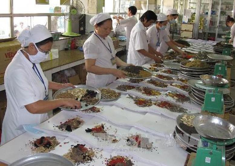 Kết luận của Ban Bí thư về phát triển nền Y học cổ truyền Việt Nam và Hội Đông y Việt Nam trong giai đoạn mới