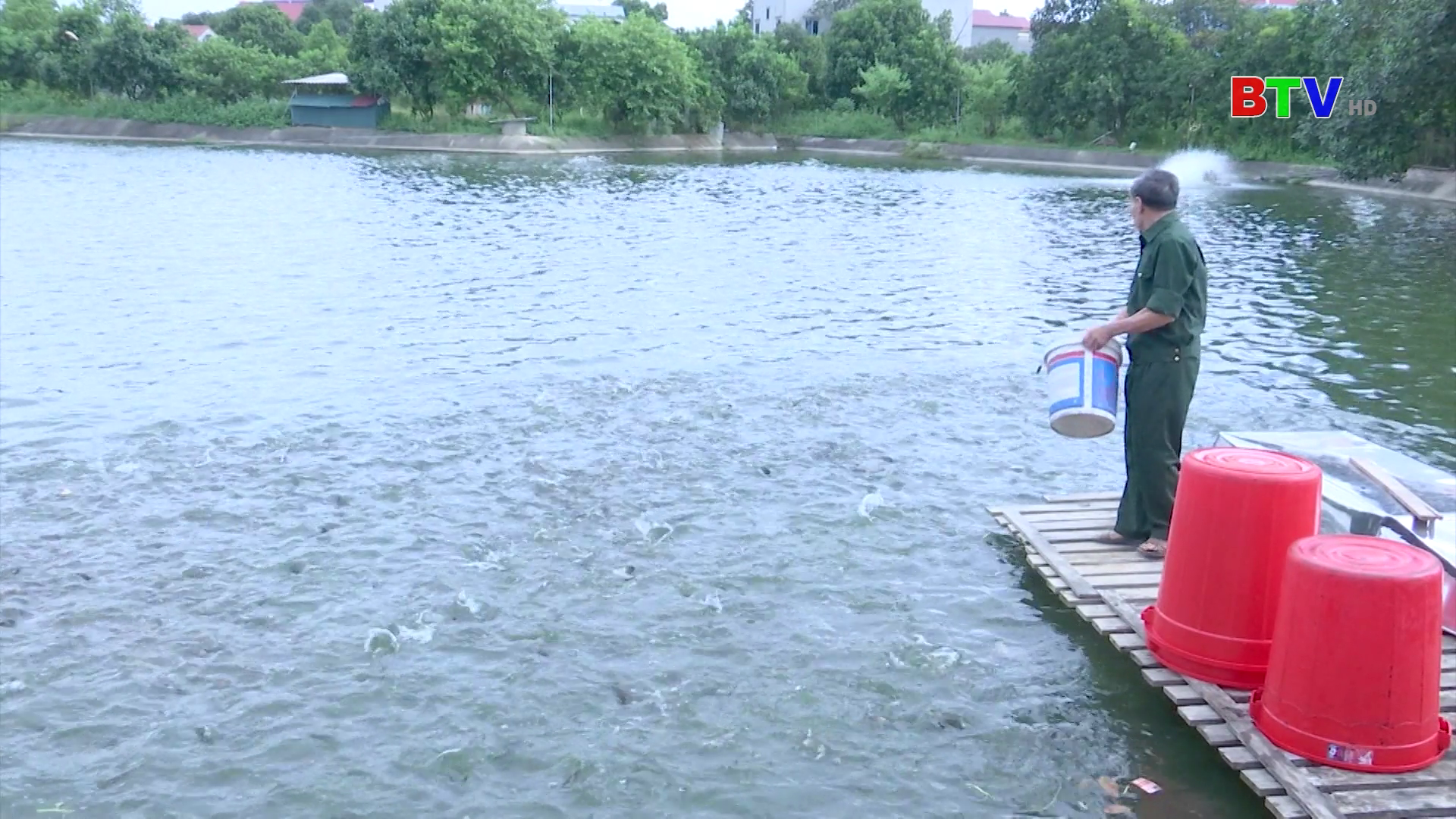 Cựu chiến binh Bắc Ninh thi đua phát triển kinh tế