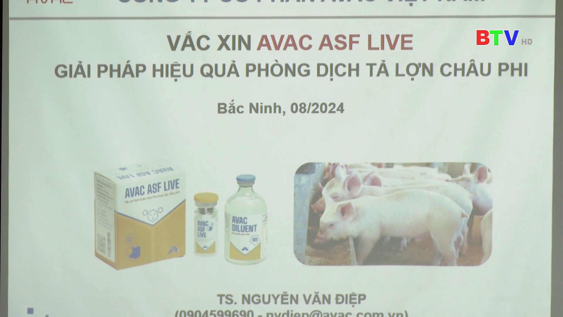 BẮC NINH TRIỂN KHAI TIÊM ĐẠI TRÀ VẮC XIN DỊCH TẢ LỢN CHÂU PHI THẬN TRỌNG, AN TOÀN